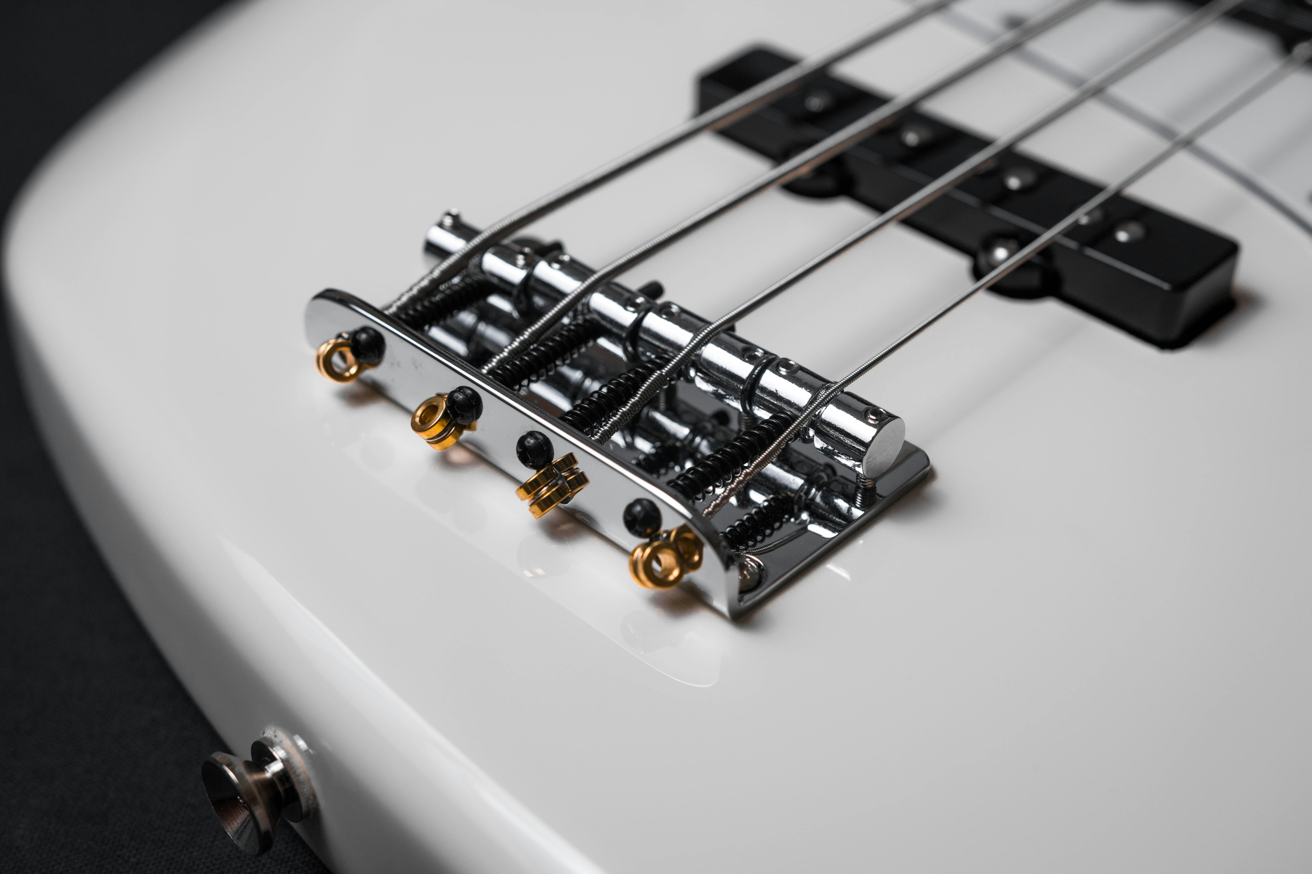 Differences Between a Bass and Electric Guitar – A Complete Guide